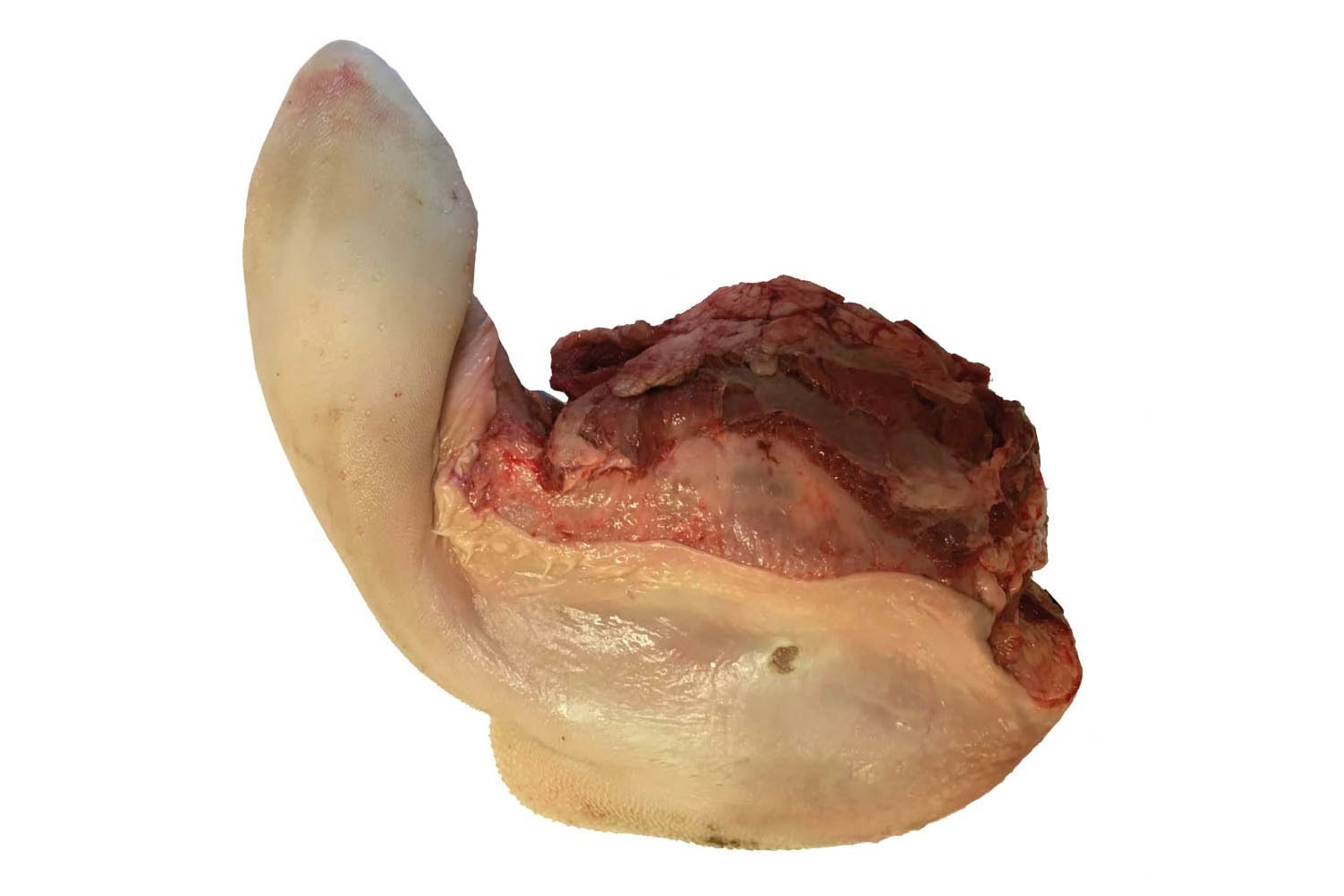 Runder tong per kg